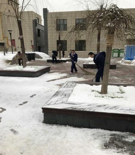 物業掃雪 情暖小區