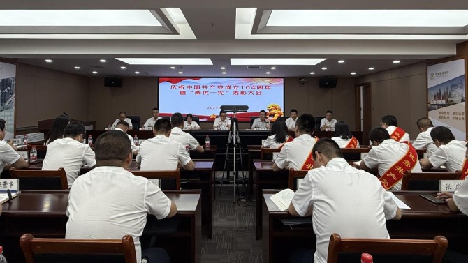 置業公司黨委召開2024年度“兩優一先”表彰大會